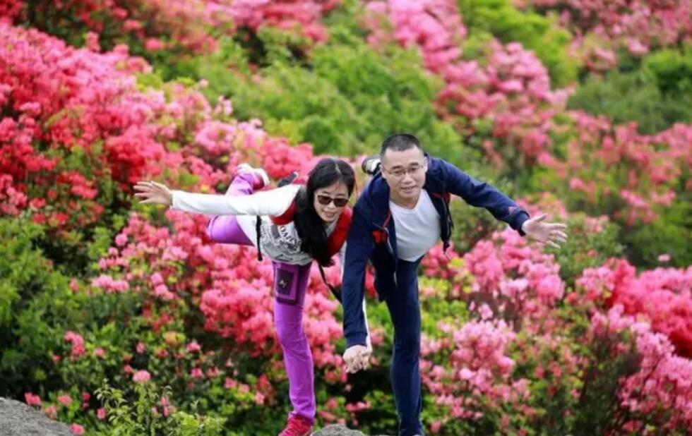 每年的五月初是大雷山顶看杜鹃花的最好时节.